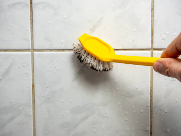 Best Mold Removal Company Near Me  in Gilmer, TX