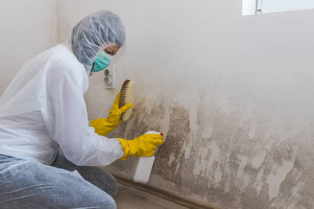Water Damage Restoration in Gilmer, TX