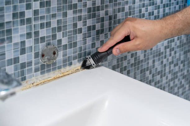 Best Attic Mold Removal  in Gilmer, TX